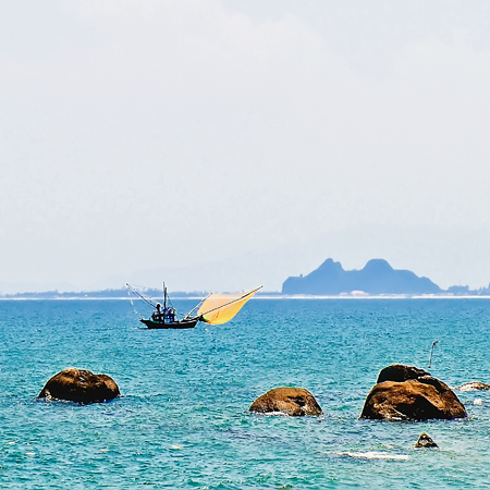 Bien dao viet nam