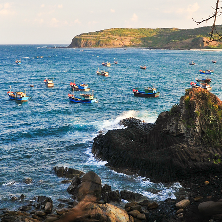 Bien dao viet nam